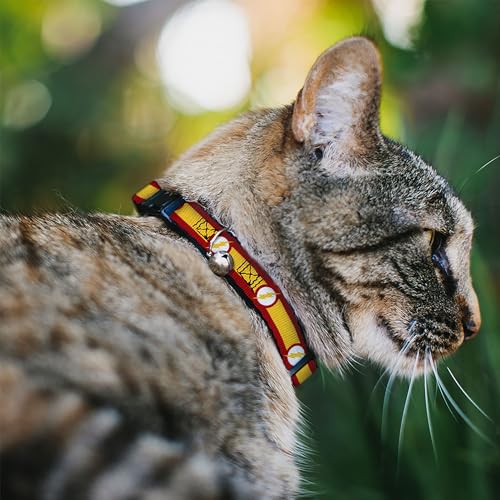 Collar antipérdida gato Flash ajustable con campana de seguridad 3