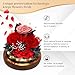 Eyesofspring Preserved Flowers,Rose in Glass Dome with LED Light, Gifts for Her, Women, Mom,Grandma,Girlfriend, Wife-Style7