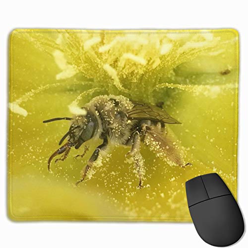 HBLSHISHUAIGE Mouse Pad Bee Yellow Flowers Pollen Rectangle Non-Slip 9.8in11.8 in Unique Designs