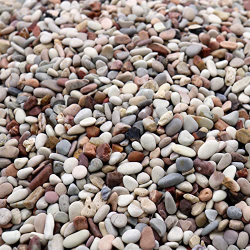 Roches pour plantes galets couleur terre 4,5 kg pour pot
