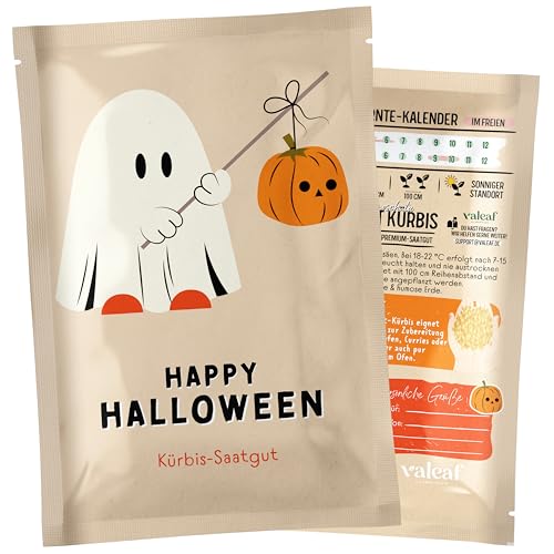 valeaf Halloween Kürbis Samen I Kürbissamen als Halloween Deko, Kürbis Deko I ideals Halloween Mitbringsel I Kürbis Halloween Butternut Kürbis Samentütchen I Saatgut Kürbis als Samen Geschenk
