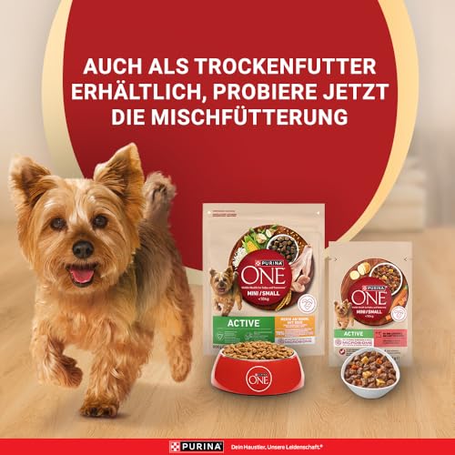 PURINA ONE Mini/Small Active für kleine Hunde, reich an Rind, 26 x 85g