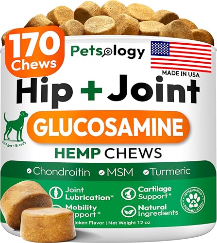 Hemp Hip and Joint Supplement for Dogs - Glucosamine for Dogs - 170 Mobility Support Chews - Advanced Joint Pain Relief Treats with Chondroitin, MSM, Turmeric - Large & Small Breeds - Made in USA
