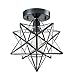AXILAND Industrial Black Copper Moravian Star Ceiling Light 12-inch, Clear Glass Shade 1-Light Fixture