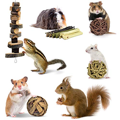 ERKOON Rabbit Chew Toys, 10 Types Natural Small Animal Treats for Bunny, Guinea Pigs, Hamsters, Chinchillas & Gerbils - Apple Wood Chews Sticks Enrichment Balls for Teeth Grinding & Boredom Relief - Image 6