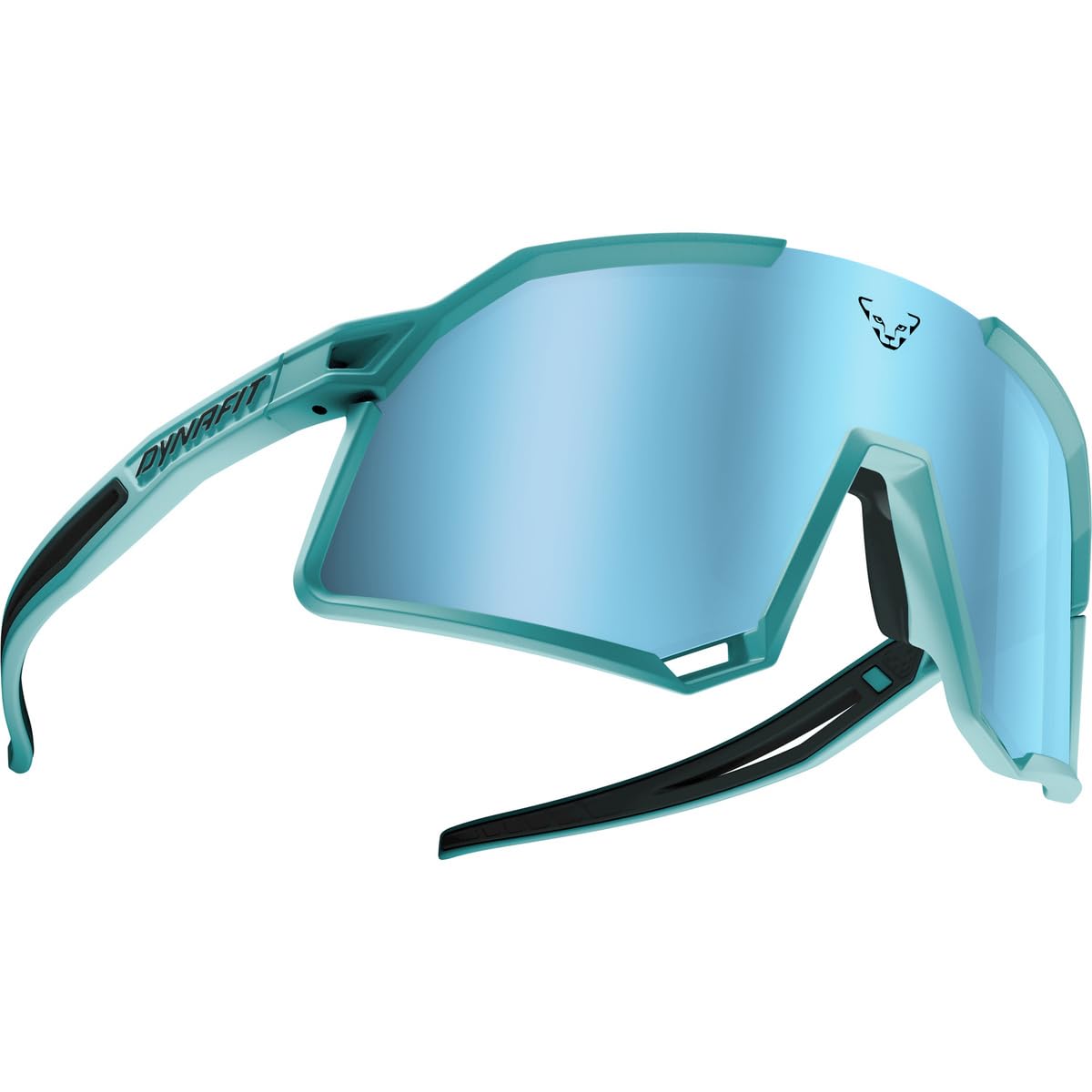 DYNAFIT Unisex Trail Evo Sunglasses Sonnenbrille