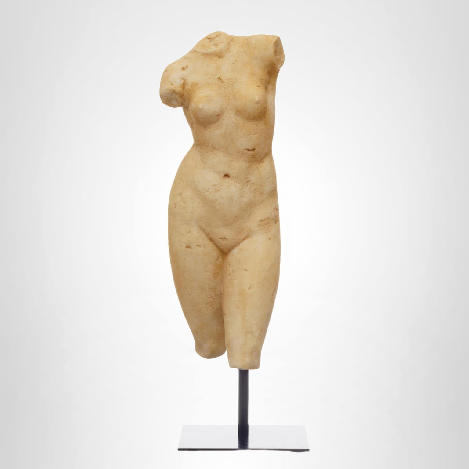 Amazon.com: Creative Co-Op Resin Female Body Figure on Metal Stand