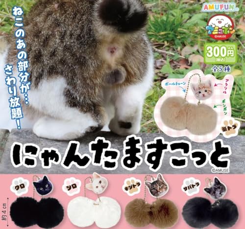 にゃんたますこっと [全5種セット(フルコンプリート)]のサムネイル