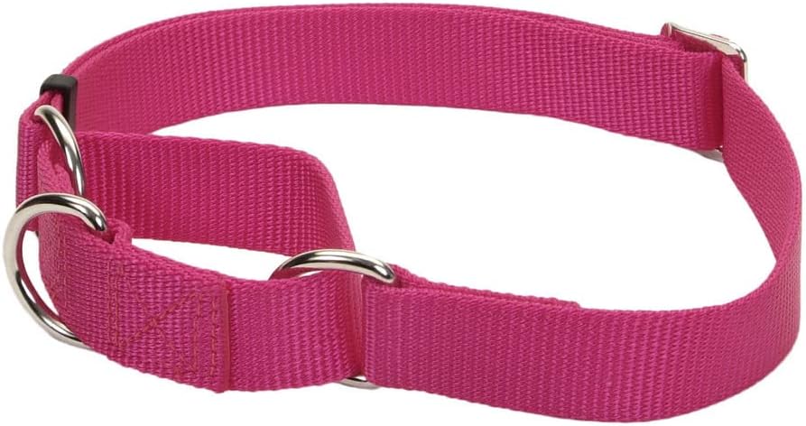 Coastal Pet - No Slip - Martingale Adjustable Dog Collar, Pink Flamingo, 5/8