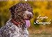 Produktbild Lagotto Romagnolo - Italienischer Trüffelhund (Wandkalender 2022 DIN A3 quer)