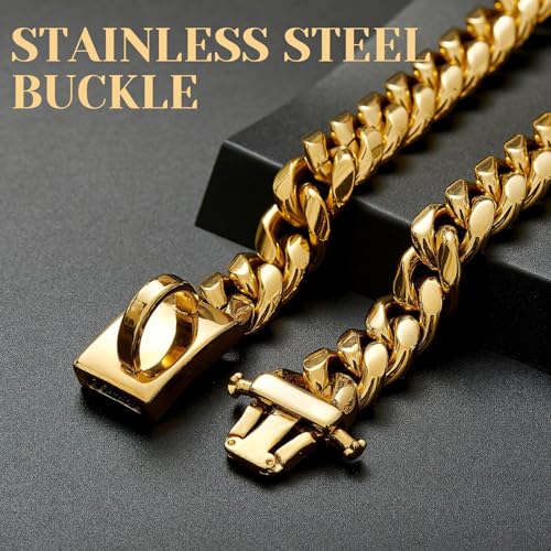 Hundekettenkragen 19mm Dickes Gold Metallhundkragen Edelstahl Hundekette mit Schnalle Starker schweres Hundehalterkragen Haustierkragen für kleine mittelgroße Hunde, Metallhundkragen