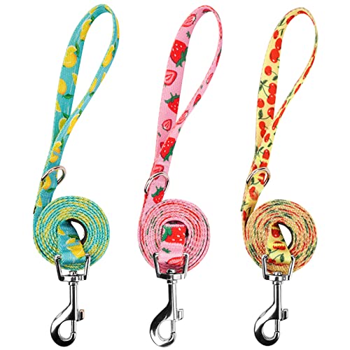 azuza-3-Pack-Fruit-Design-Nylon-Dog-Leashes-Strong-Durable-Basic-Dog-Leash-with-Easy-to-Use-Collar-Hook-for-Small-Dogs-S-6FT58