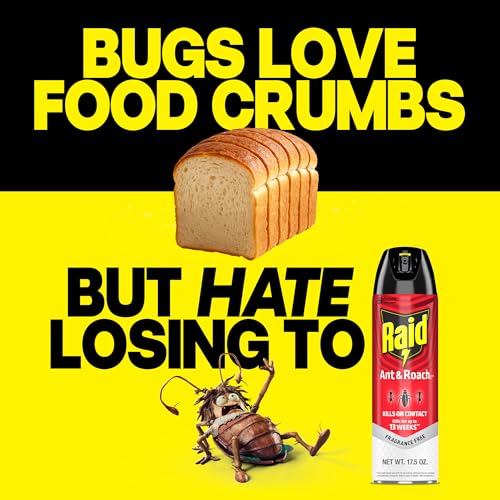 Image of Raid Ant & Roach Killer 26, Fragrance Free Bug Killer for Home Use, Kills Bugs on Contact, Roach and Ant Spray, 17.5 Oz, 2 Count