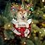 Shiba Inu|1