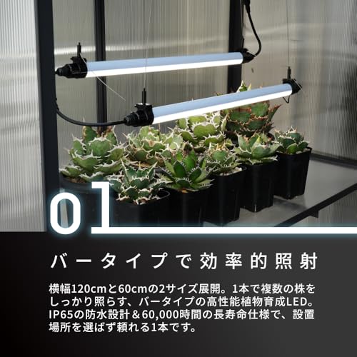BARREL GROW LINE の商品画像 2