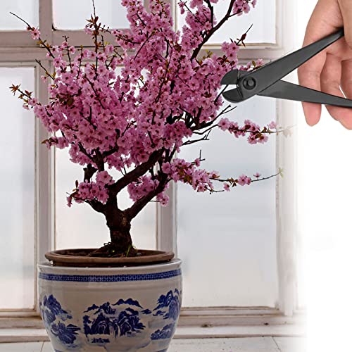 Alicates Bonsai para Cortar Alambre 210 mm miniatura 5