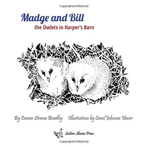 Madge and Bill, the Owlets in Harper's Barn