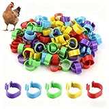 txuzong 250 Stück Set Hühnerbein-Ringe 16mm - Transparente Geflügel-Fußringe für Hühner, Gänse & Enten - Leicht Ablesbare Markierungsringe aus Plastik - Perfekt für Geflügelzucht und Bauernhof