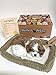 Perfect Petzzz Huggable Breathing Puppy Dog Pet Bed Shih Tzu