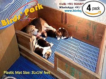 Plastic Mat Dog Cage Flooring, Goat Flooring Size: 1X3 Feet (90Lx30W cm) 'Good for Dog Goat Rabbit & Guinea Pigs' (4 Pcs Set): NO Wooden Box.ONLY Flooring. Blue Colour