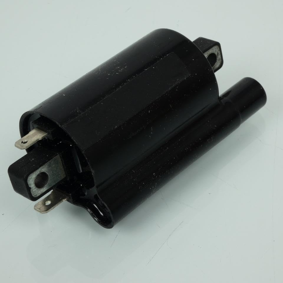 Bobina di accensione HT P2R per Scooter Piaggio 250 X9 2000 Ã 2003 Nuovo di zecca