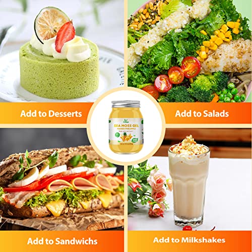 Oalse Sea Moss Gel - 18.5Oz Mango Pineapple Flavor Sea Moss Gel Organic Raw Nutritious Organic Sea Moss Gel Rich In 102 Vitamins And Minerals, Proteins & Vitamins, Vegan-Friendly #TOP4
