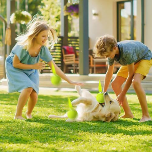 Balle avec plumes pour chaton : le jouet interactif sonore anti-ennui - 8