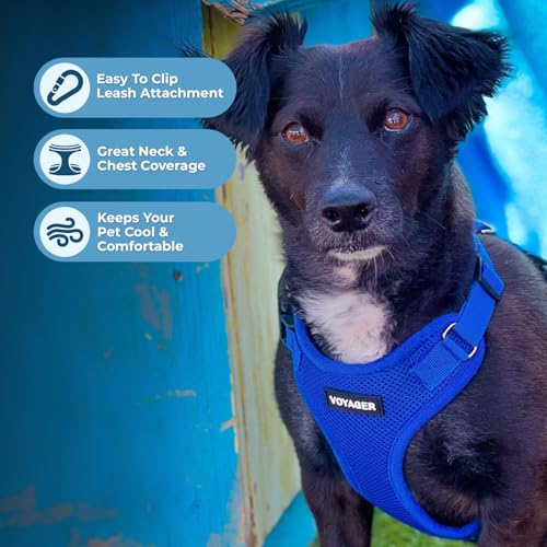 Image of Best Pet Supplies Voyager Step-in Lock Pet Harness w Reflective Pet Leash Combo Set with Neoprene Handle 5ft - Supports Small, Medium and Large Breed Puppies /Cats - Royal Blue Set, M