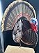 Nelan & Wong LLC Fergy Boy Magnum Deluxe Collapsible Turkey Decoy
