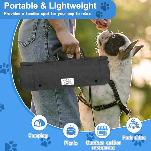 Couverture pour chien imperméable et lavable pour coffre et voyage