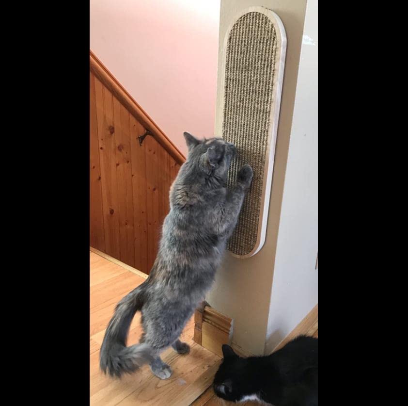 Griffoir pour chat mural contre les griffures de canapé - 5