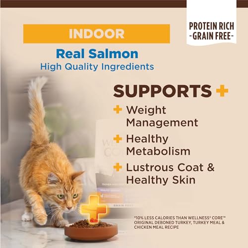 Image of Wellness CORE+ Adult Dry Cat Food for Indoor Cats, Natural, Grain Free Kibble, Salmon and Herring Meal Recipe, 11 lb Bag