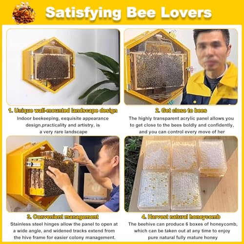Kit de démarrage d'apiculture hexagonal ruche murale avec fenêtres en acrylique - 7