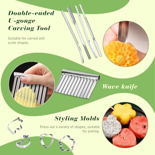 46-Piece Fruit Carving Tools Set