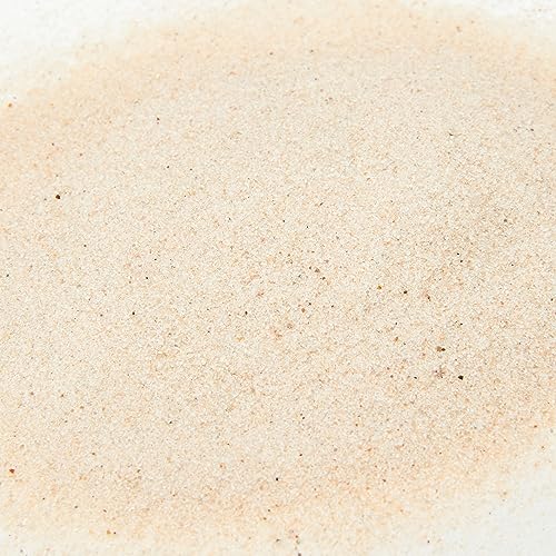 Zoo Med SW-10 Reptisand®, 10 Pounds thumb #1