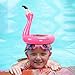 KATOOM Inflatable Flamingo Ring Toss Game 2 Pcs Inflatable Flamingo Hat Pool Toys Party Decoration with 12 pcs Floating Swimming Rings for Kids and Adult Family Party Game Water Fun