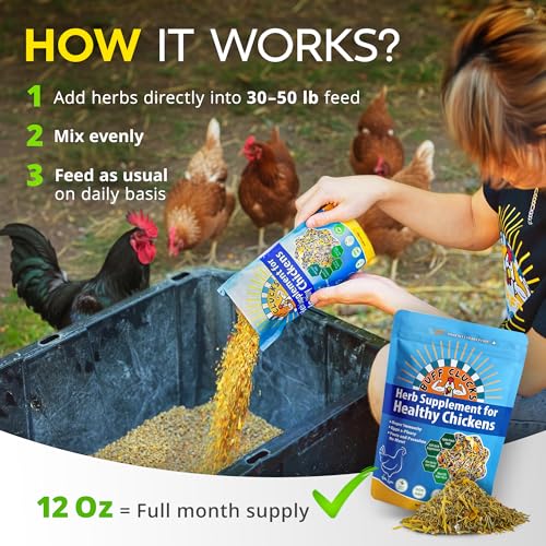 Buff Clucks Herb Supplement for Backyard Chickens - Natural Chicken Treats, Poultry Feed Botanical Mix, Plant-Based Coop Snacks for Daily Wellness, Feather Quality, Egg Production, USA (12 oz) - Image 5