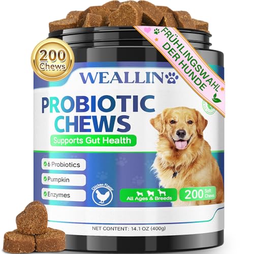 WEALLIN Probiotika für Hunde, Präbiotika für die Darmgesundheit – Unterstützt die Verdauungsgesundheit und die Nährstoffaufnahme – 200 Weiche Kaudrops zur Unterstützung der Hautgesundheit