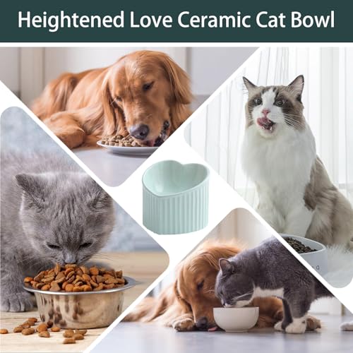 Plat d'alimentation pour chat en forme de cœur idéal pour le salon
