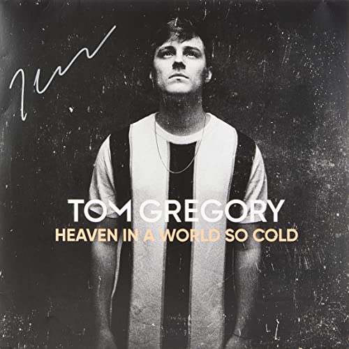 Heaven in A World So Cold [Vinyl] [Import]