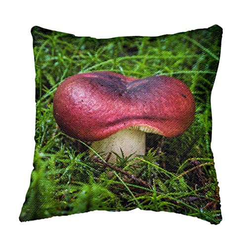 Coussin sequin champignon mauve pour rompre la monotonie d'un salon sans eclat - 4