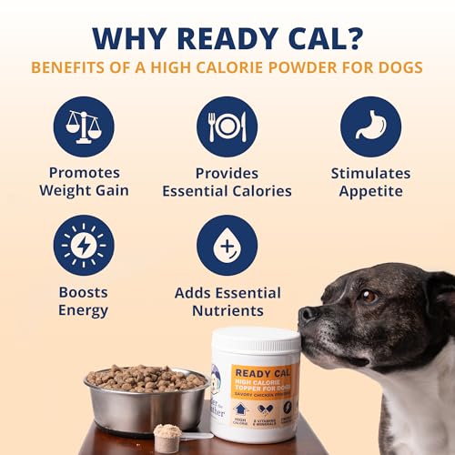 Image of Under the Weather Ready Cal Powder for Dogs, High-Calorie Weight Gainer & Appetite Stimulant, Dog Energy Booster Veterinarian-Approved Pet Supplement with Vitamins & Minerals, Chicken Flavor |10.58 oz