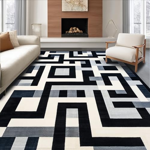 ODIKA Flatwoven High Traffic Area Rug 8x10, Modern Maze Linework
