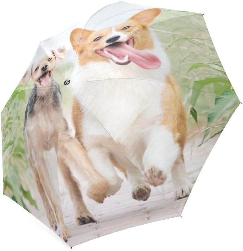 Travel Compact Umbrella Pet's Cat Dog Photo Or Text Image DIY Personalized Custom Sun/Rain All Wheather Windproof Auto Folding Foldable Umbrella