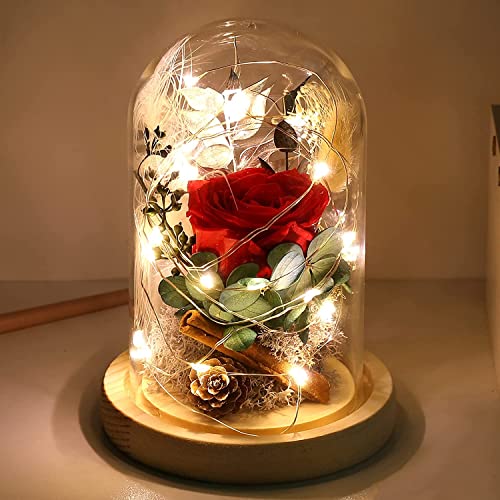 WiseZen Beauty and The Beast Rose, Preserved Roses Galaxy Enchanted Roses with Light in Glass Dome Gifts for Her Girlfriend on Thanksgiving Valentine s Day Anniversary Christmas Birthday