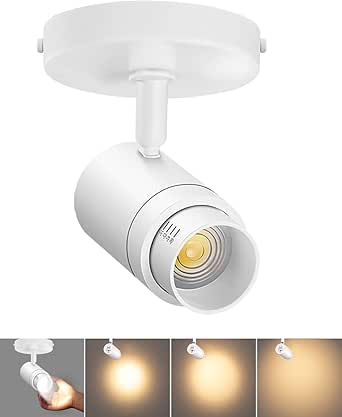 Zoomable LED Ceiling Spot Lights Indoor Adjustable Dimmable Flush Mount Fixture 12W 1000lm 3000K