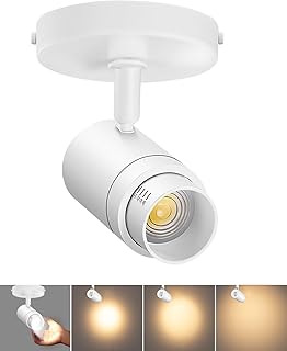 Zoomable LED Ceiling Spot Lights Indoor Adjustable Ceiling Spotlight Fixture Directional Ceiling Light Dimmable Flush Mount Can Accent Lighting for Kitchen Art Picture - 12W 1000lm White 3000K