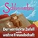 Schlummerbär: Der verrückte Zufall und die wahre Freundschaft: Kurzgeschichte (Schlummerbär Kurzgeschichten 2)