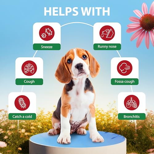 Kennel Cough Drops for Dogs & Cats Cough Relief Dry and Wet Pet Cough Allergy Relief - for Dogs of All Breeds & Sizes - Thumbnail 3