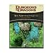 The Witchlight Fens - Dungeon Tiles: A 4th Edition Dungeons & Dragons Accessory (4th Edition D&D)